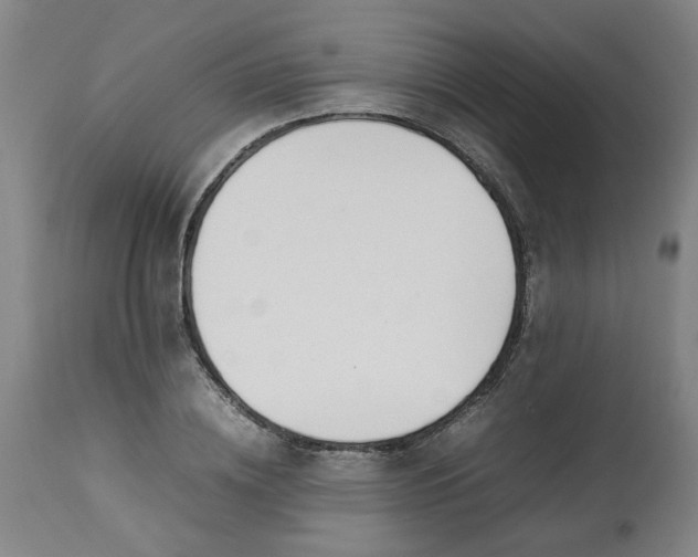 X0000113210836200909241422