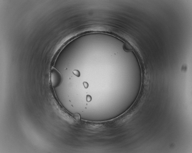 X0000113210837200909241422