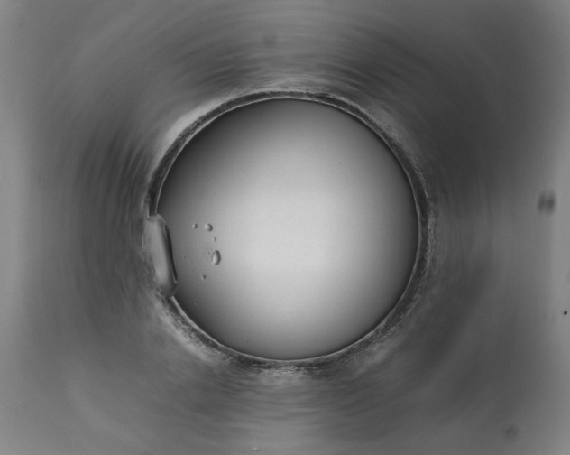 X0000113210838200909241422