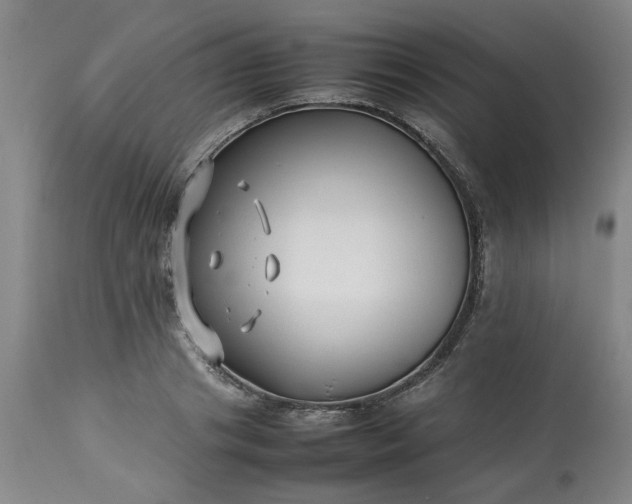 X0000113210841200909241422