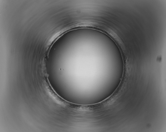 X0000113210842200909241422