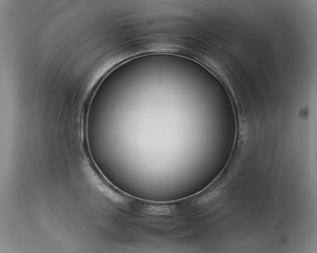 X0000113210843200909241422