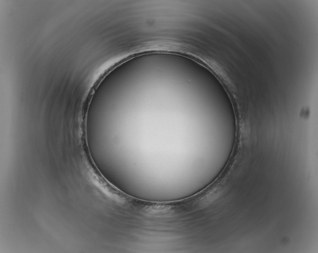 X0000113210846200909241422