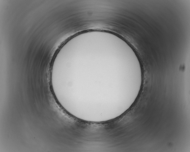 X0000113210848200909241422