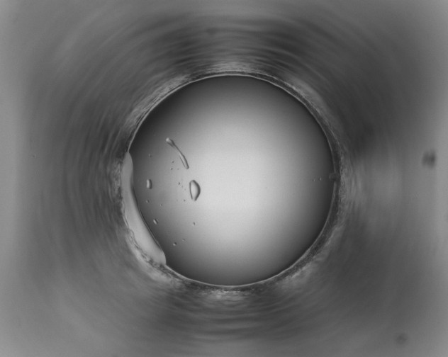 X0000113210849200909241422