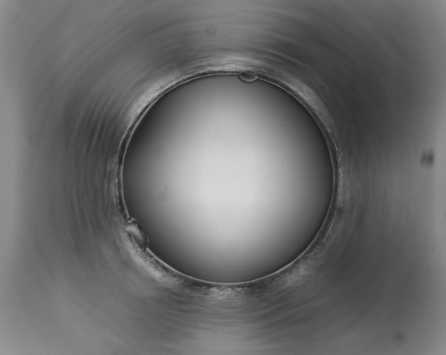 X0000113210850200909241422