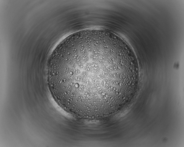 X0000113210851200909241422