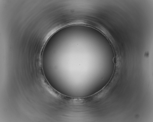 X0000113210858200909241422