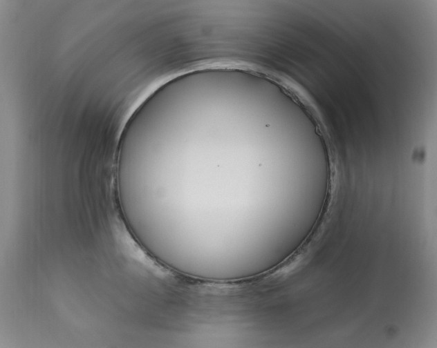 X0000113210860200909241422