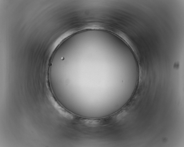 X0000113210861200909241422