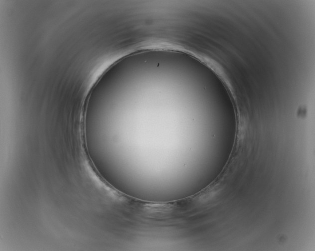 X0000113210863200909241422