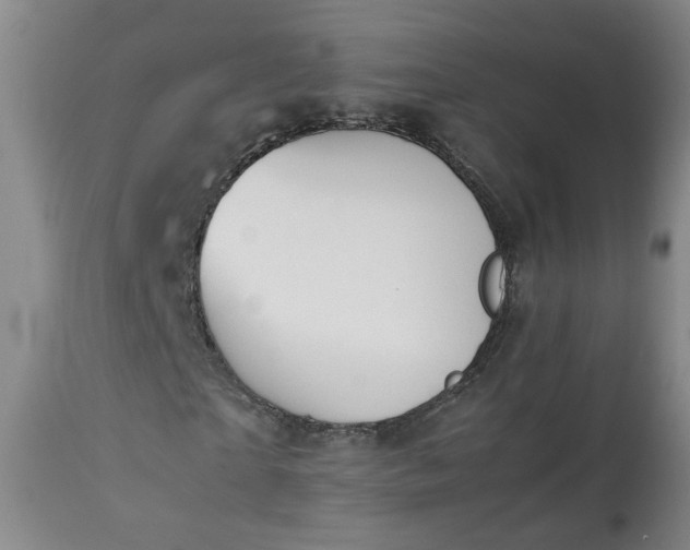 X0000113210865200909241421