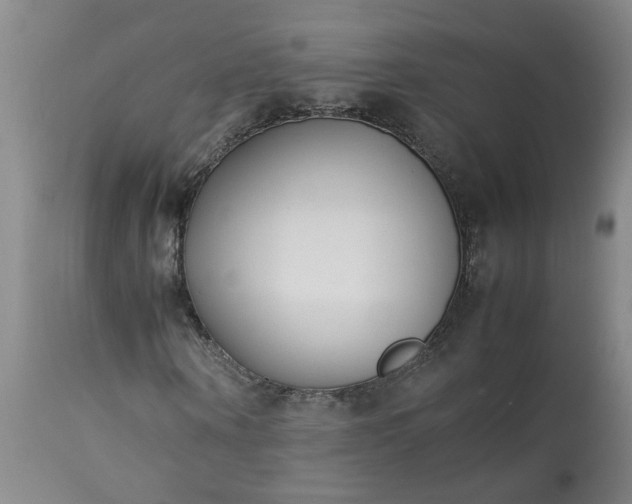 X0000113210866200909241421