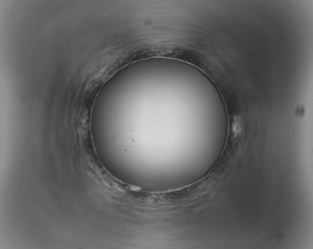 X0000113210867200909241421