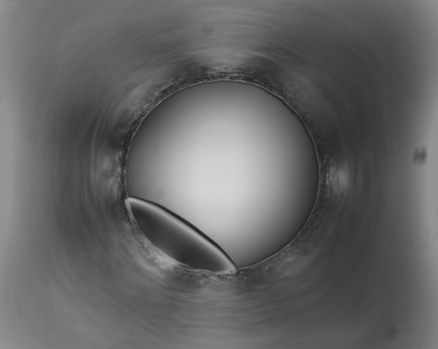 X0000113210868200909241421