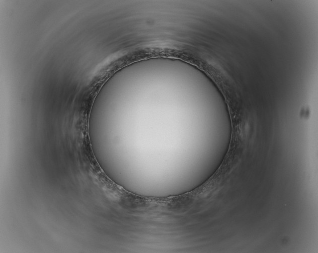 X0000113210870200909241421