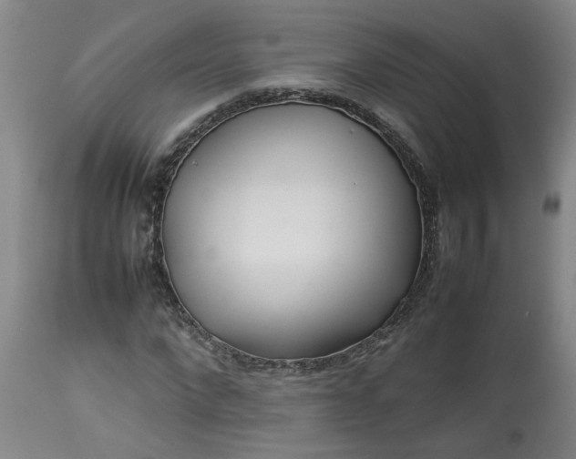 X0000113210872200909241421