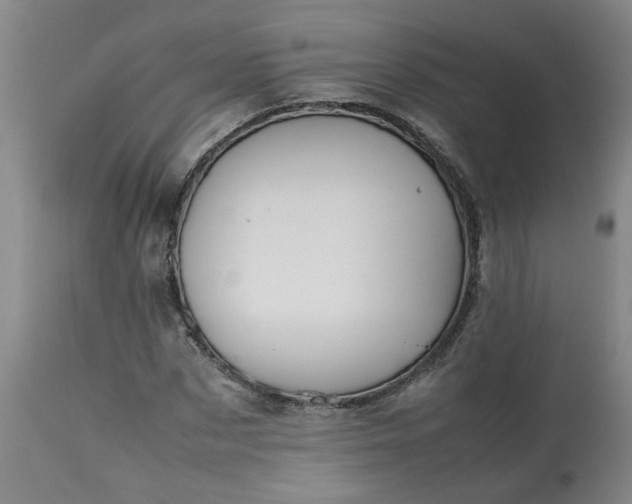 X0000113210873200909241421