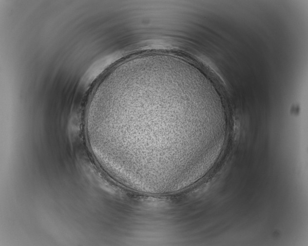 X0000113210874200909241421