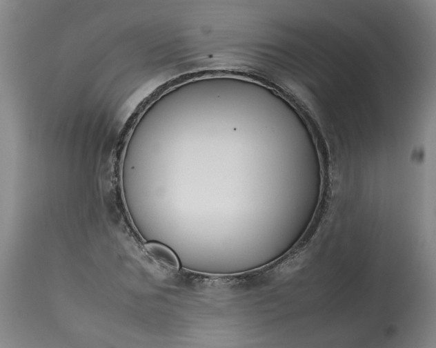 X0000113210875200909241421