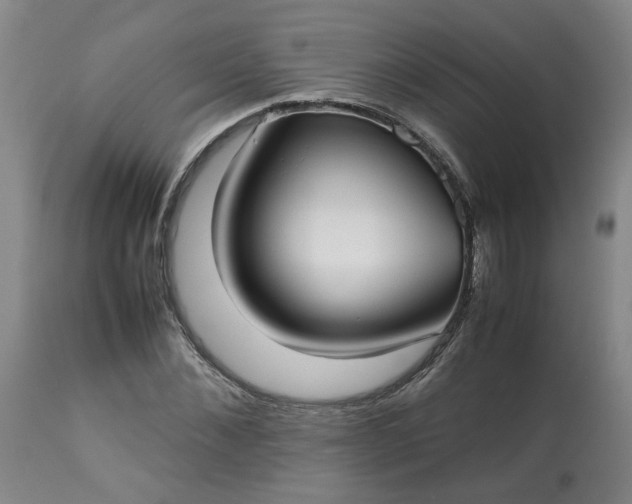 X0000113210876200909241421