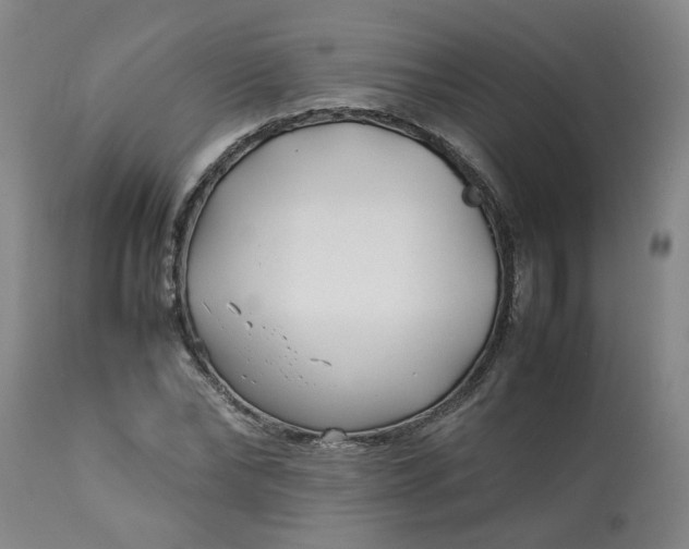 X0000113210878200909241421