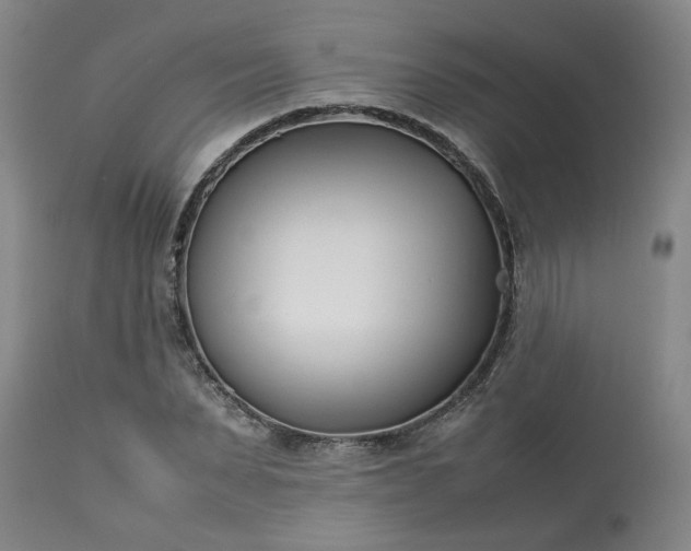 X0000113210879200909241421