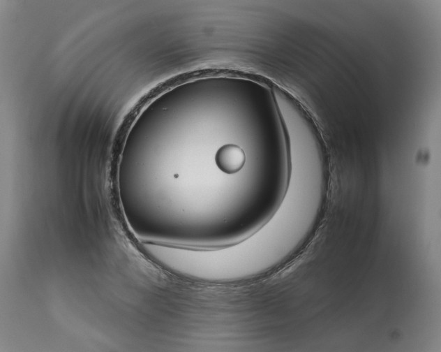 X0000113210880200909241421