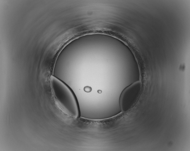 X0000113210881200909241421