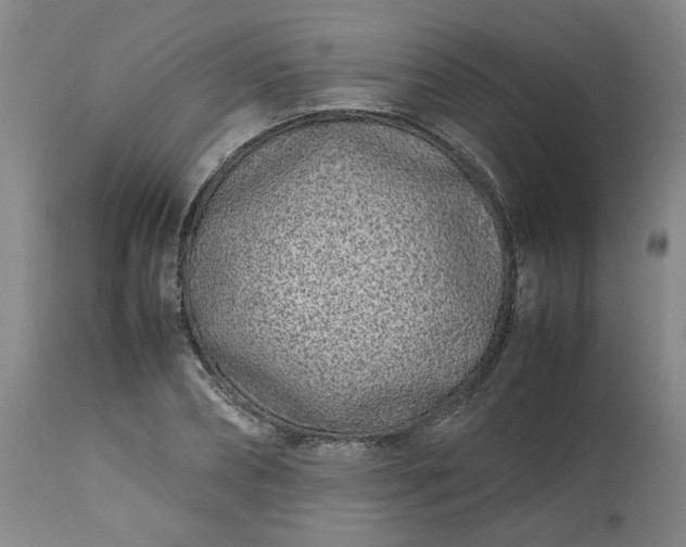 X0000113210882200909241421