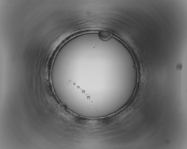 X0000113210883200909241421