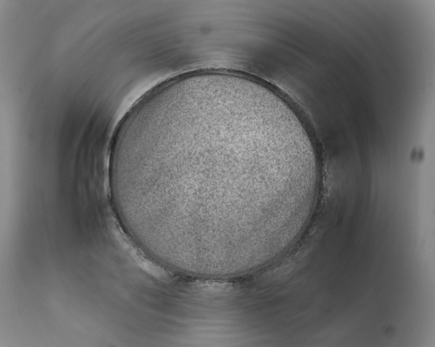 X0000113210886200909241421