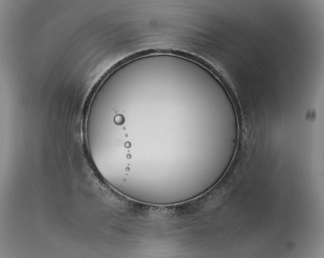 X0000113210887200909241421