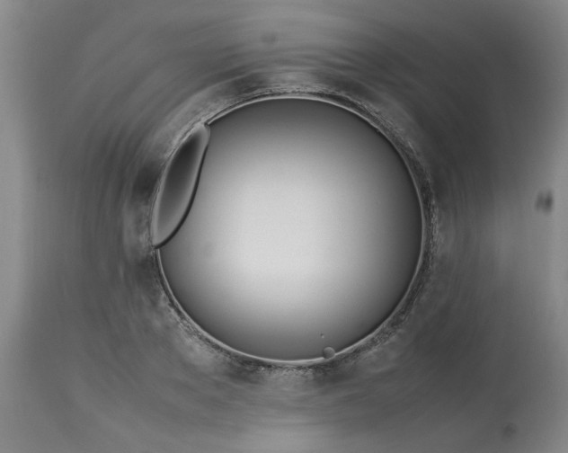 X0000113210889200909241421