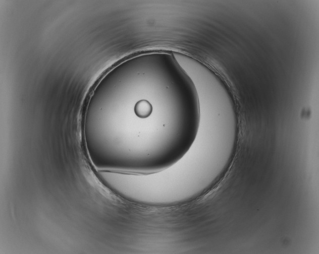 X0000113210892200909241421