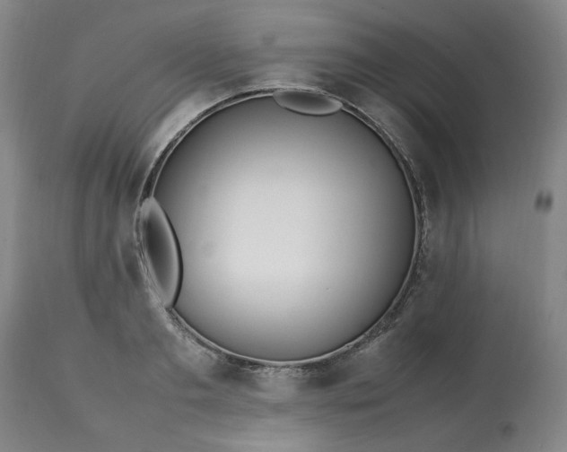 X0000113210893200909241421