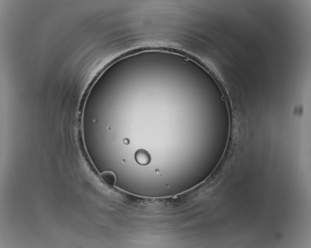 X0000113210895200909241421