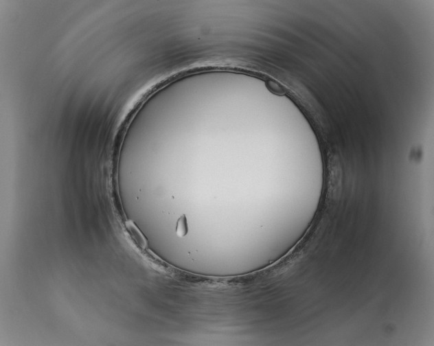 X0000113210896200909241421