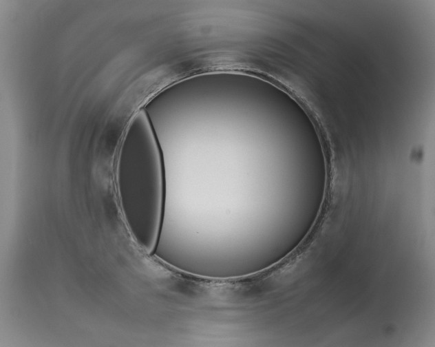 X0000113210897200909241421