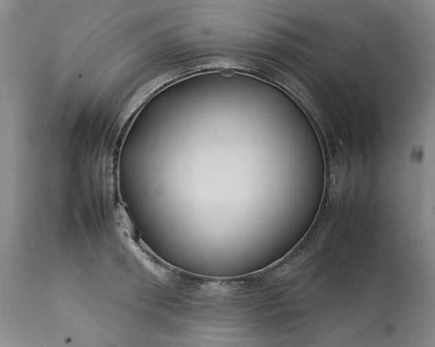 X0000113210898200909241421