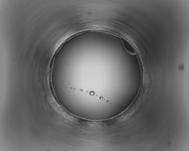 X0000113210899200909241420