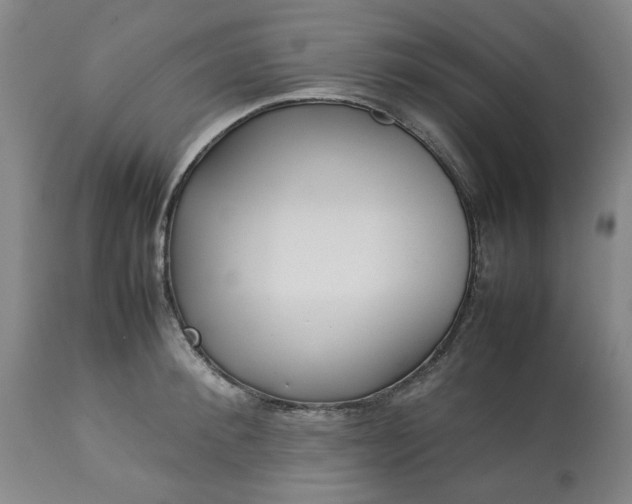 X0000113210900200909241420