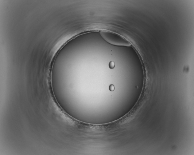 X0000113210901200909241420