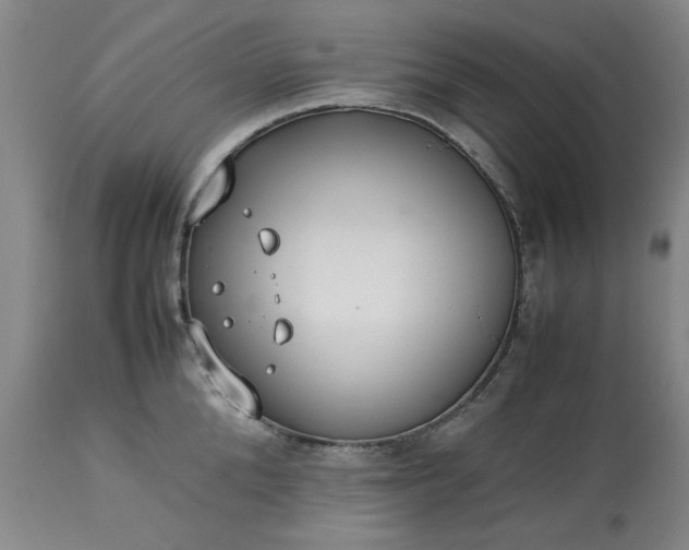 X0000113210904200909241420