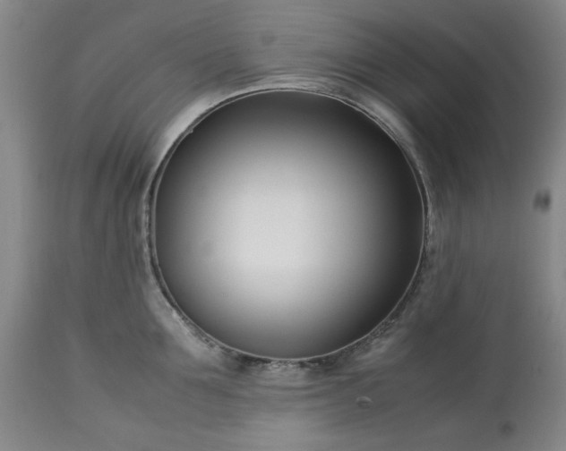 X0000113210907200909241420