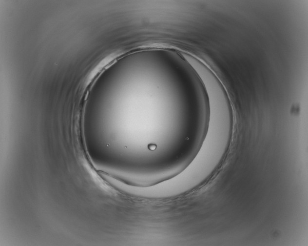 X0000113210909200909241420