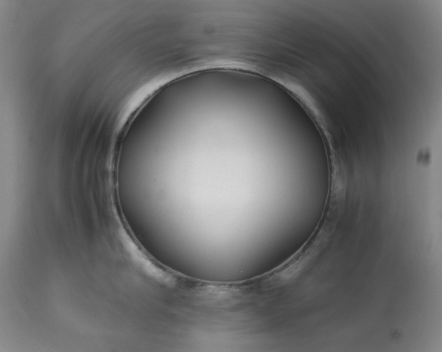 X0000113210910200909241420