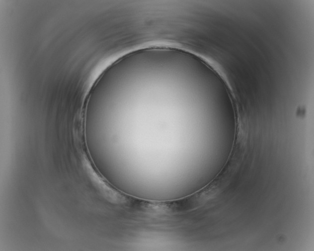 X0000113210911200909241420