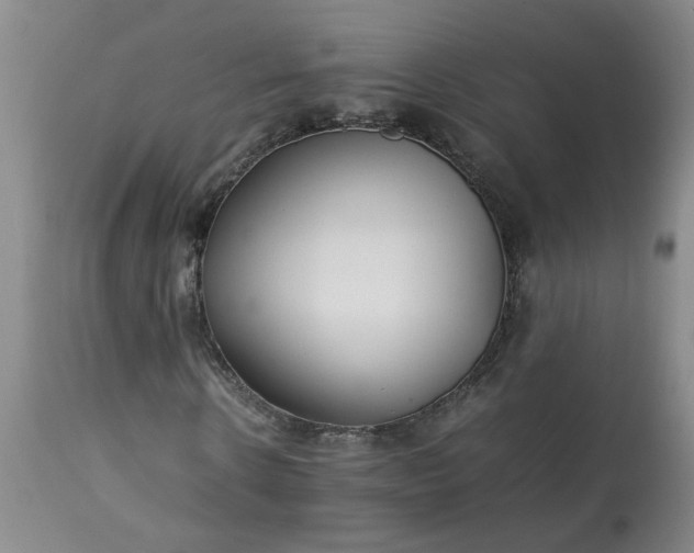 X0000113210914200909241420