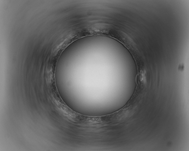 X0000113210915200909241420